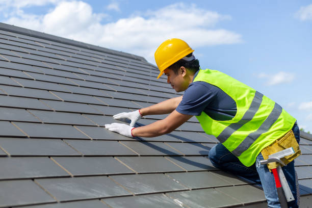 Best Metal Roofing Contractor  in Roscoe, IL