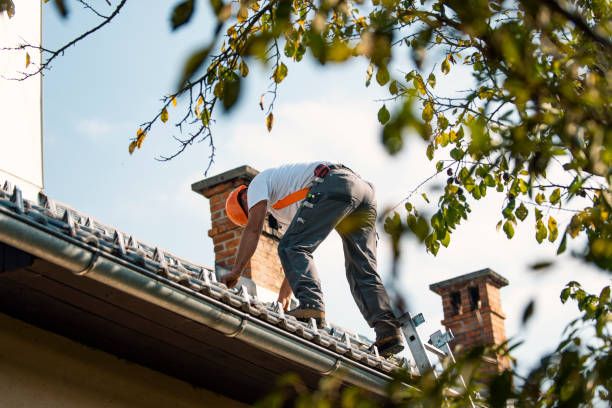 Best New Roof Installation  in Roscoe, IL