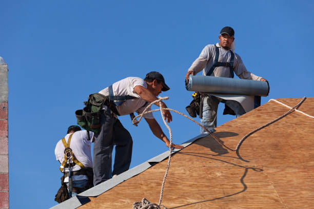 Best Roof Replacement Cost  in Roscoe, IL