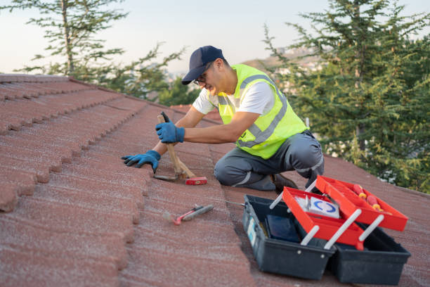 Roof Waterproofing Services in Roscoe, IL