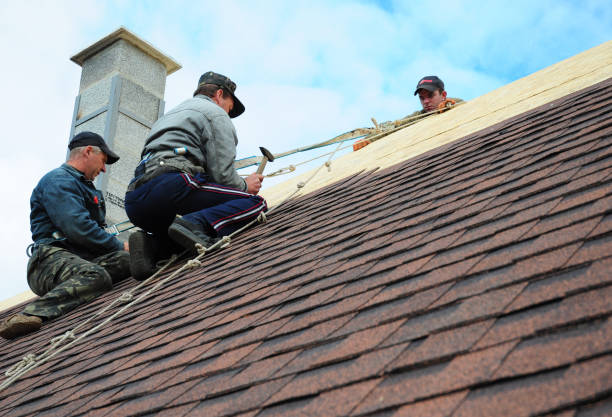 Best Roof Gutter Cleaning  in Roscoe, IL