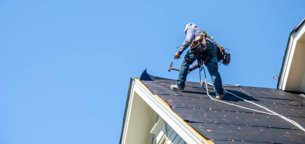 Best Commercial Roofing Services  in Roscoe, IL